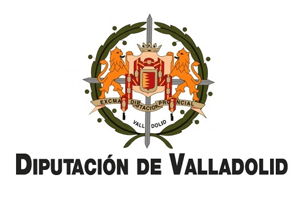 dip-vll-logo Inicio