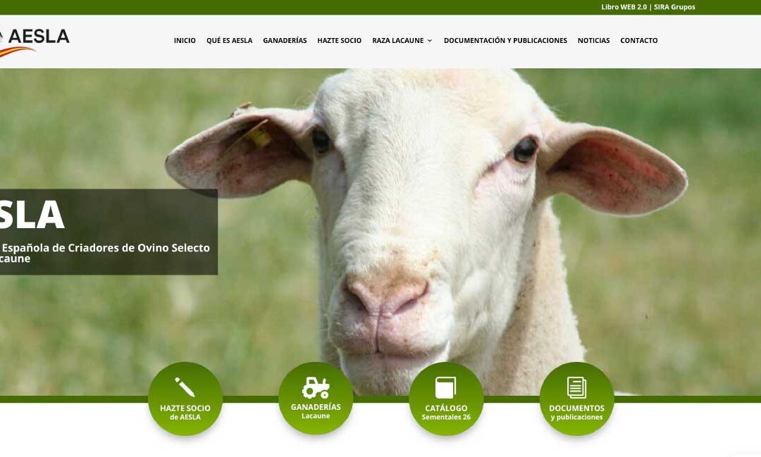Renovación web para AESLA – Asociación Española de Criadores de Ovino Selecto de Raza Lacaune