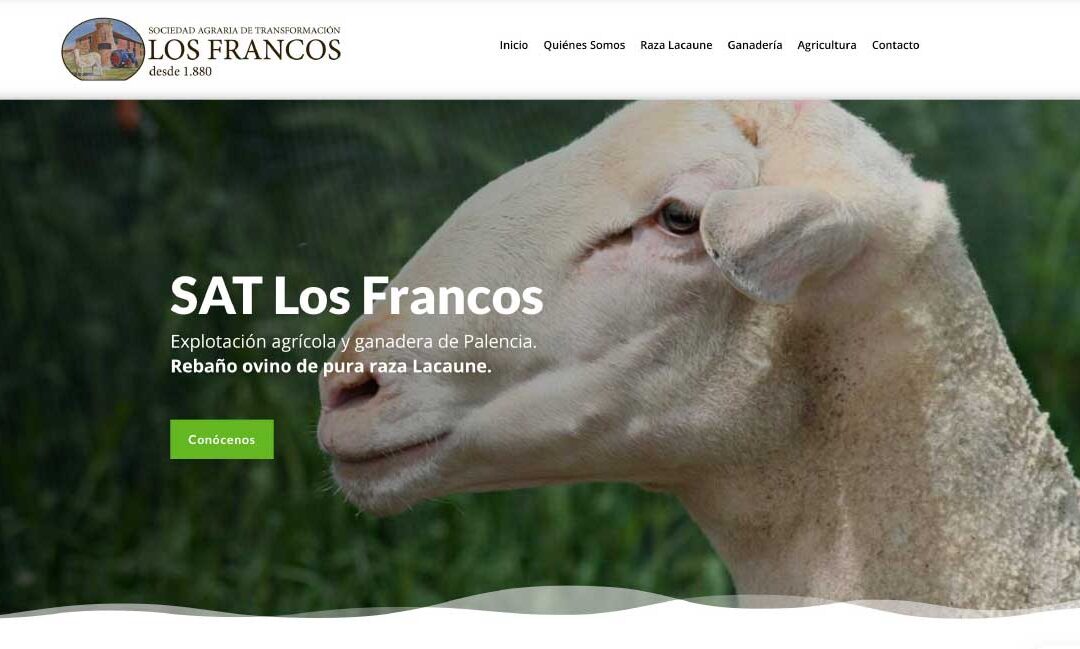 Renovación web para SAT Los Francos